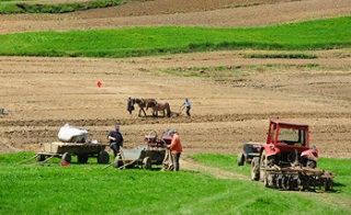 agricultura-romania