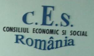 consiliul-economic-social-logo-465x390