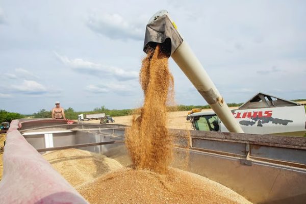 cereale ucraina acord exporturi